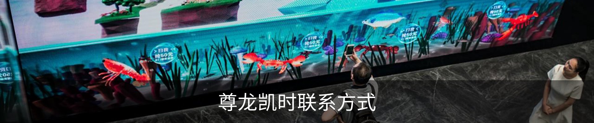 尊龙凯时联系方式
