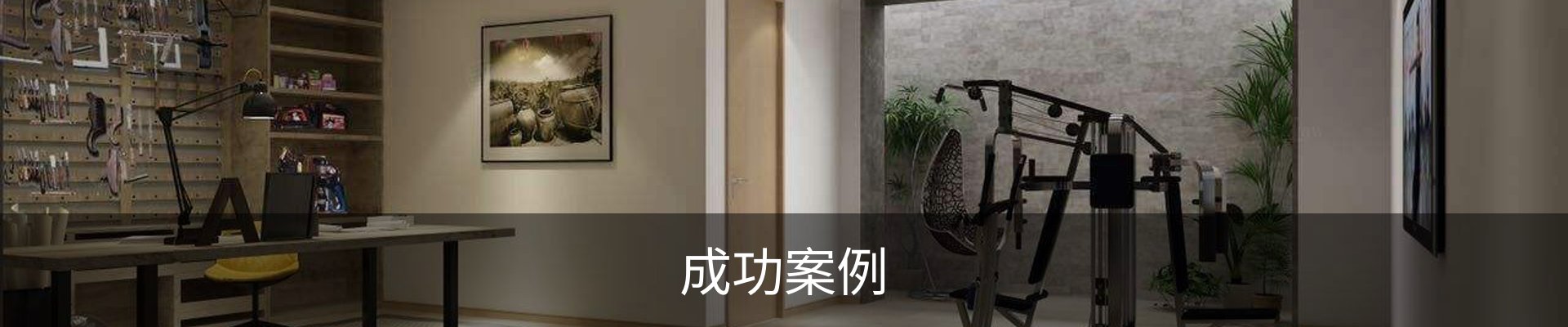 成功案例